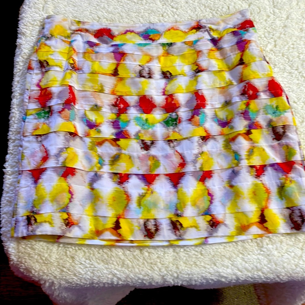 Ann Taylor skirt